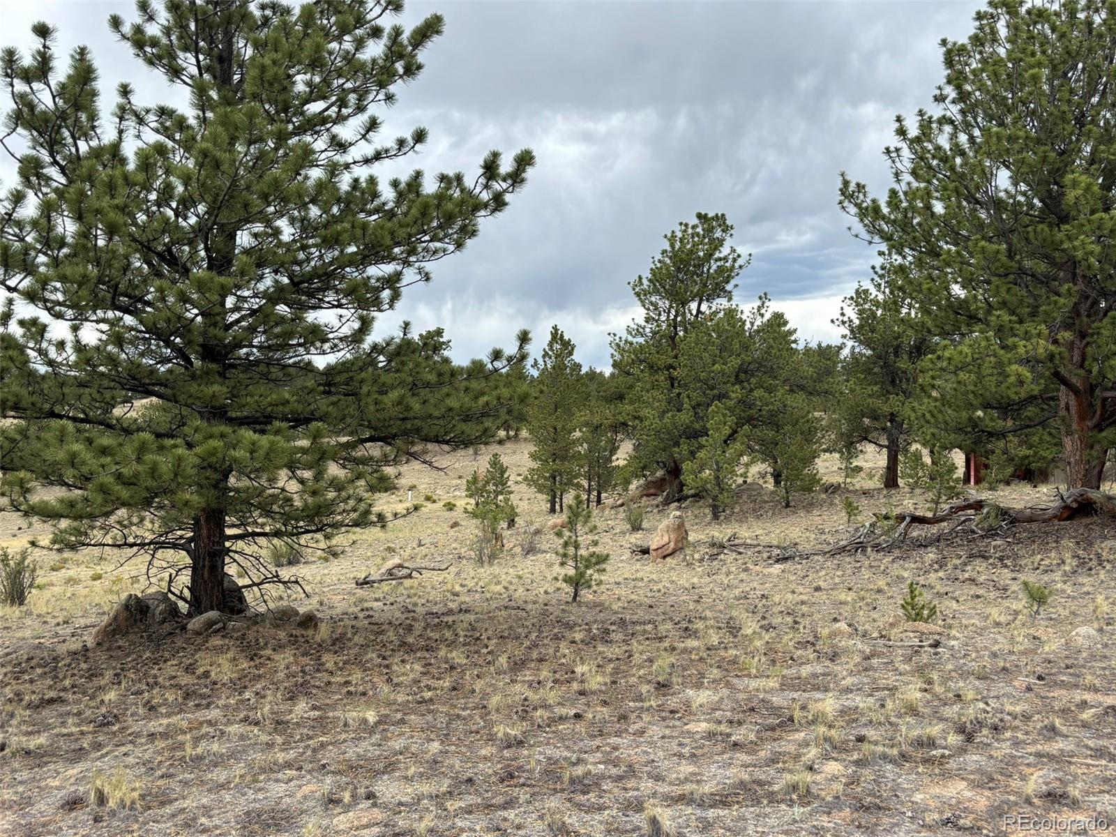 99 Arapaho Ct, Hartsel, CO 80449