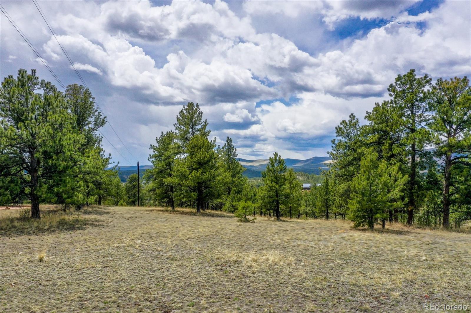 000 Doe Valley Rd, Guffey, CO 80820