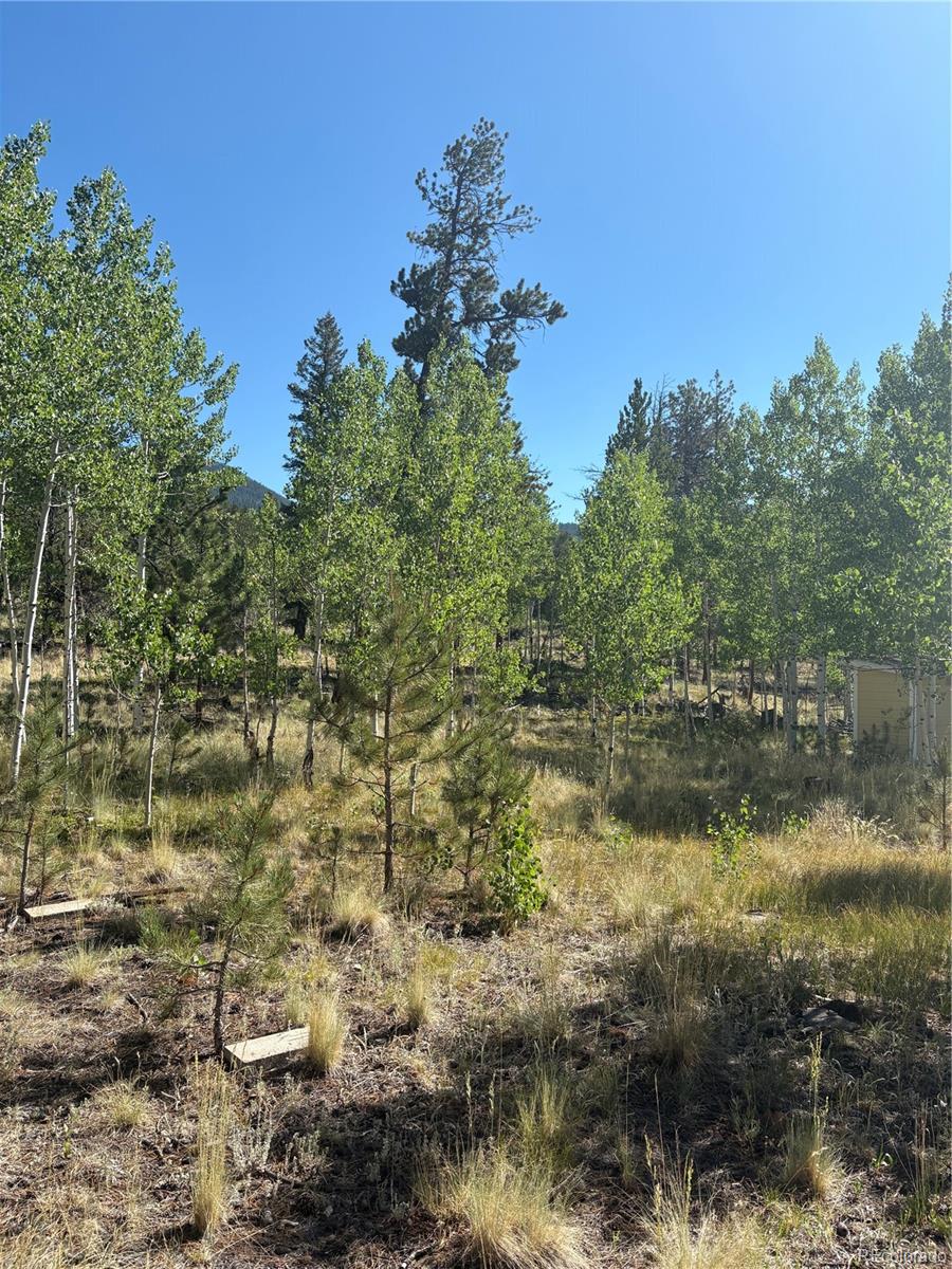 103 Baker Rd, Bailey, CO 80421