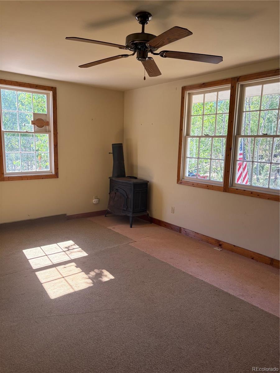 103 Baker Rd, Bailey, CO 80421