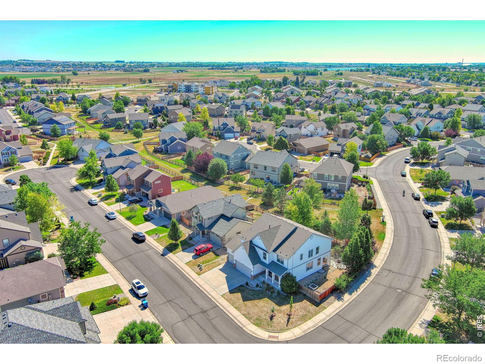 1667 Kelmsley Ct, Windsor, CO 80550