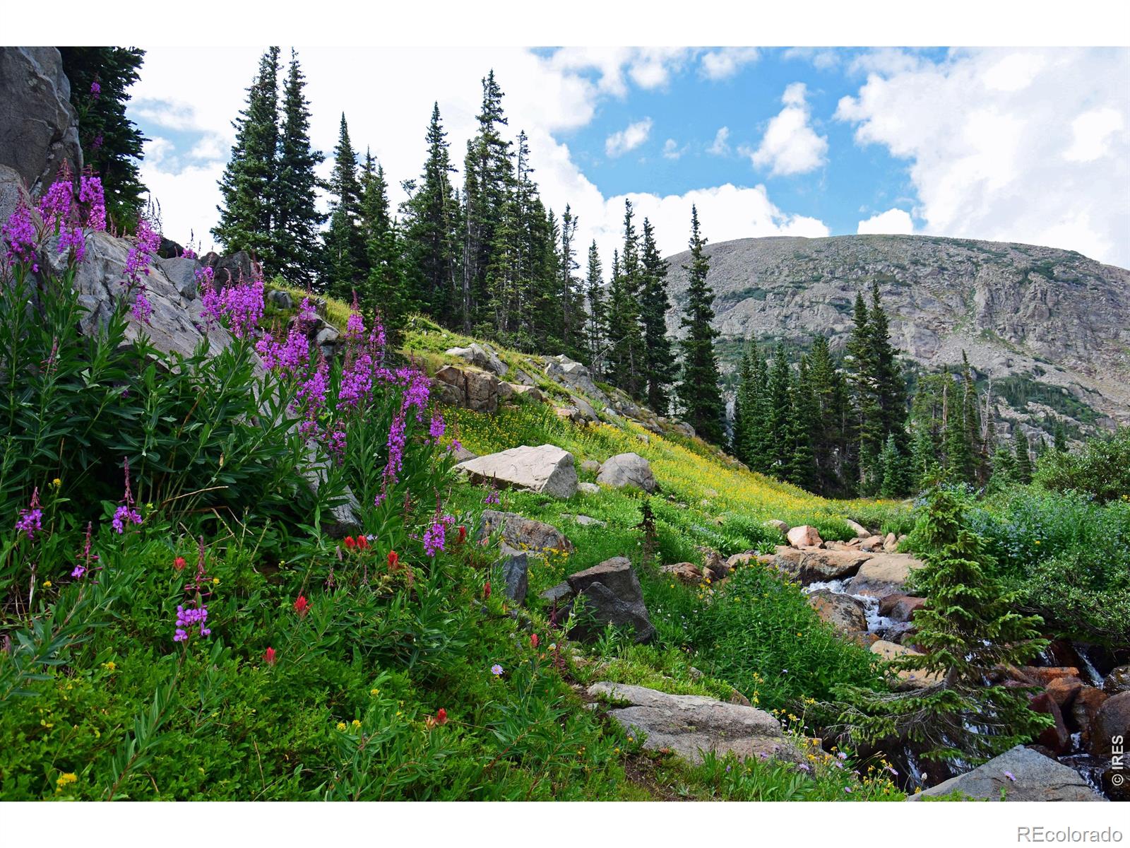 250 Eldora Rd, Nederland, CO 80466
