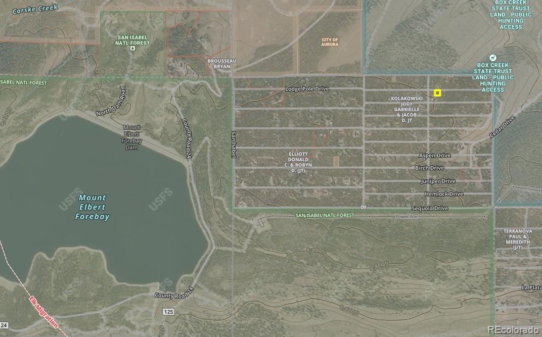 198 Lodgepole Dr Lot 59, Leadville, CO 80461