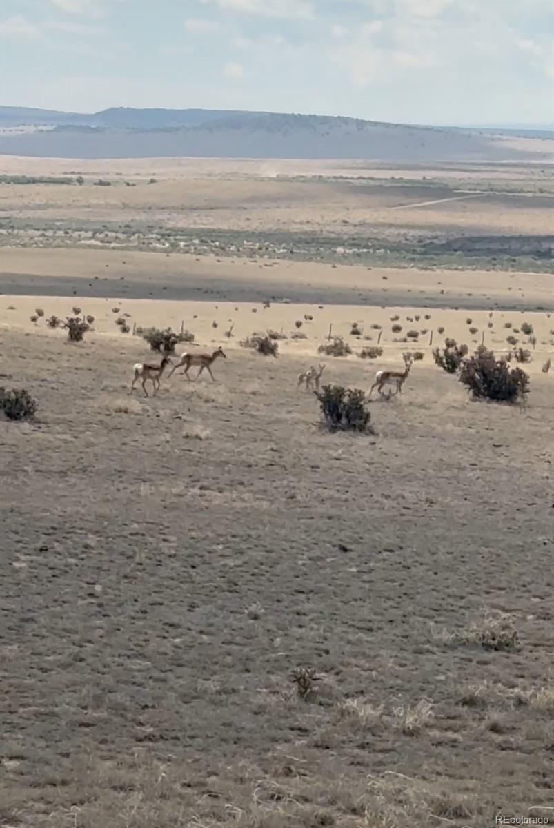 Lot 10 Cuerno Verde Ranches Lot 10, Walsenburg, CO 81089