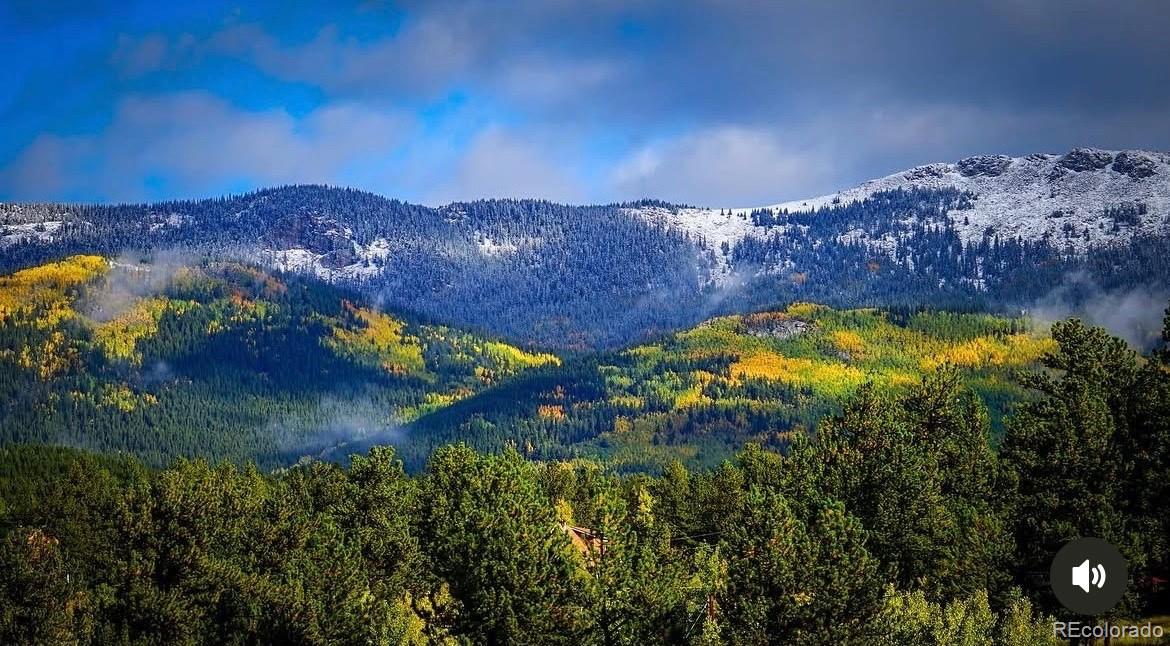 1682 Clark Rd, Bailey, CO 80421