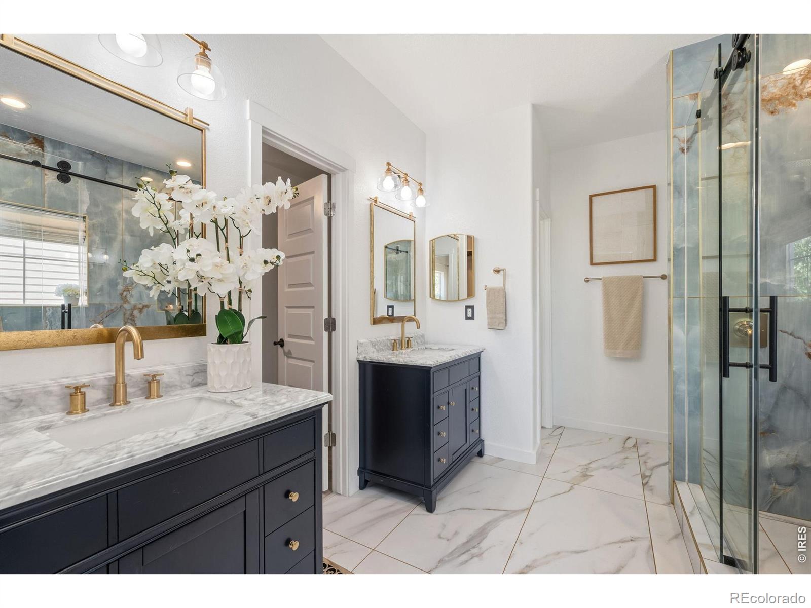 2177 Beehive Ct, Windsor, CO 80550