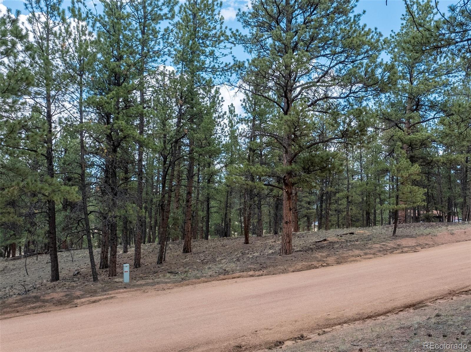 41 - 73 Ingels Dr, Florissant, CO 80816