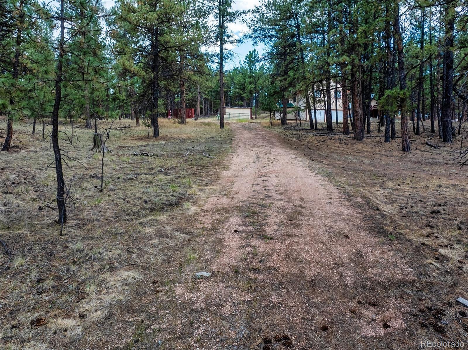 41 - 73 Ingels Dr, Florissant, CO 80816