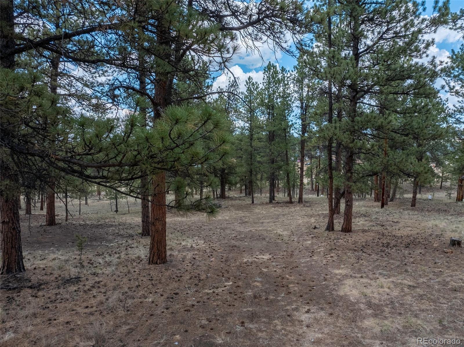 41 - 73 Ingels Dr, Florissant, CO 80816