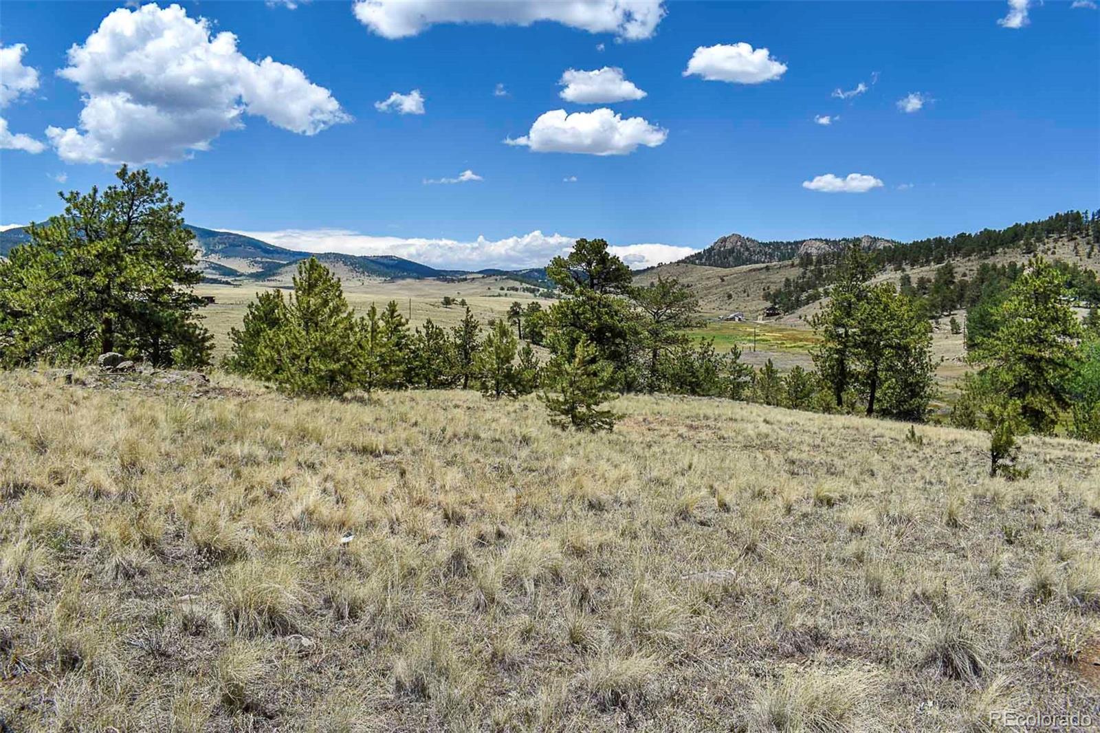 4278 County Road 71, Guffey, CO 80820