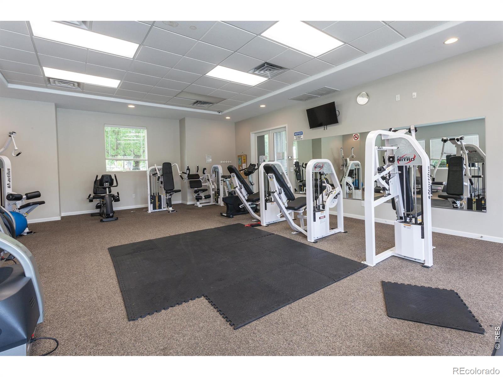 2984 Ariel Dr, Loveland, CO 80537