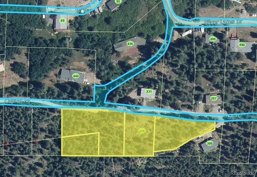 256 Capital Rd, Dumont, CO 80436