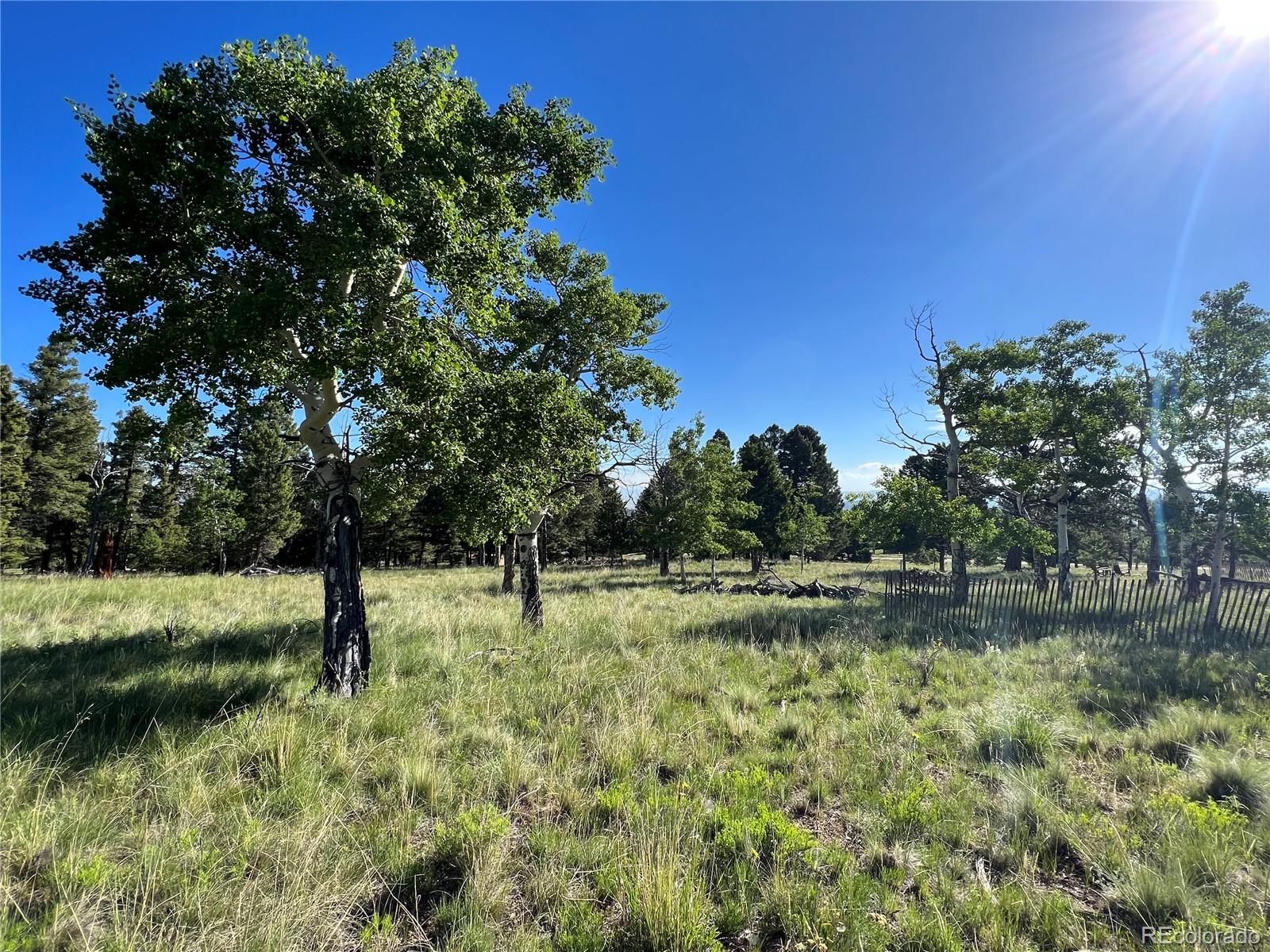 9430 Ranch Rd, Hartsel, CO 80449