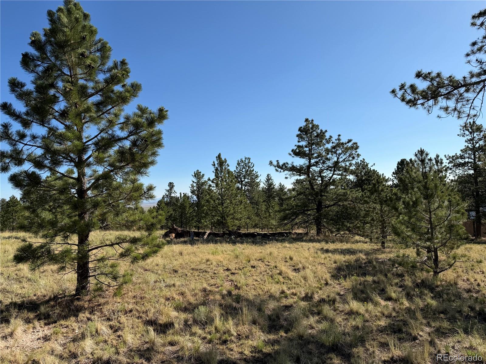 9430 Ranch Rd, Hartsel, CO 80449