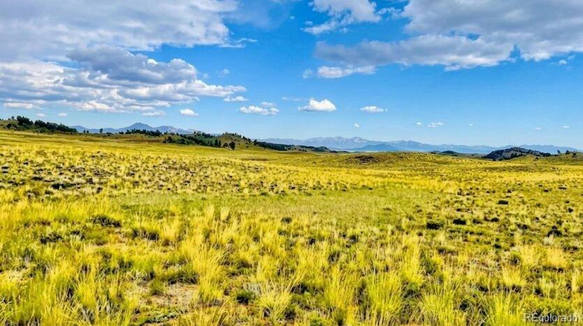 123 Shawnee Trl, Hartsel, CO 80449