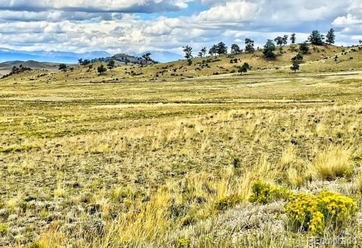 10341 Caddo Rd, Hartsel, CO 80449