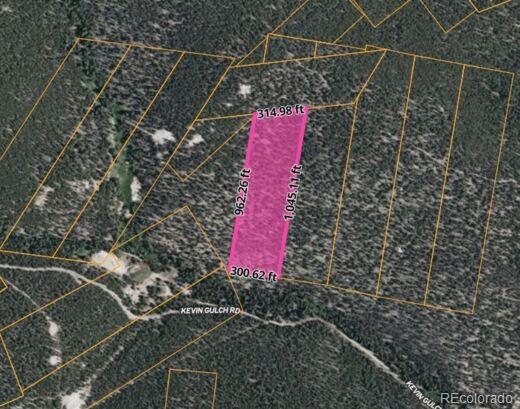 111 Kevin Gulch Rd, Leadville, CO 80461
