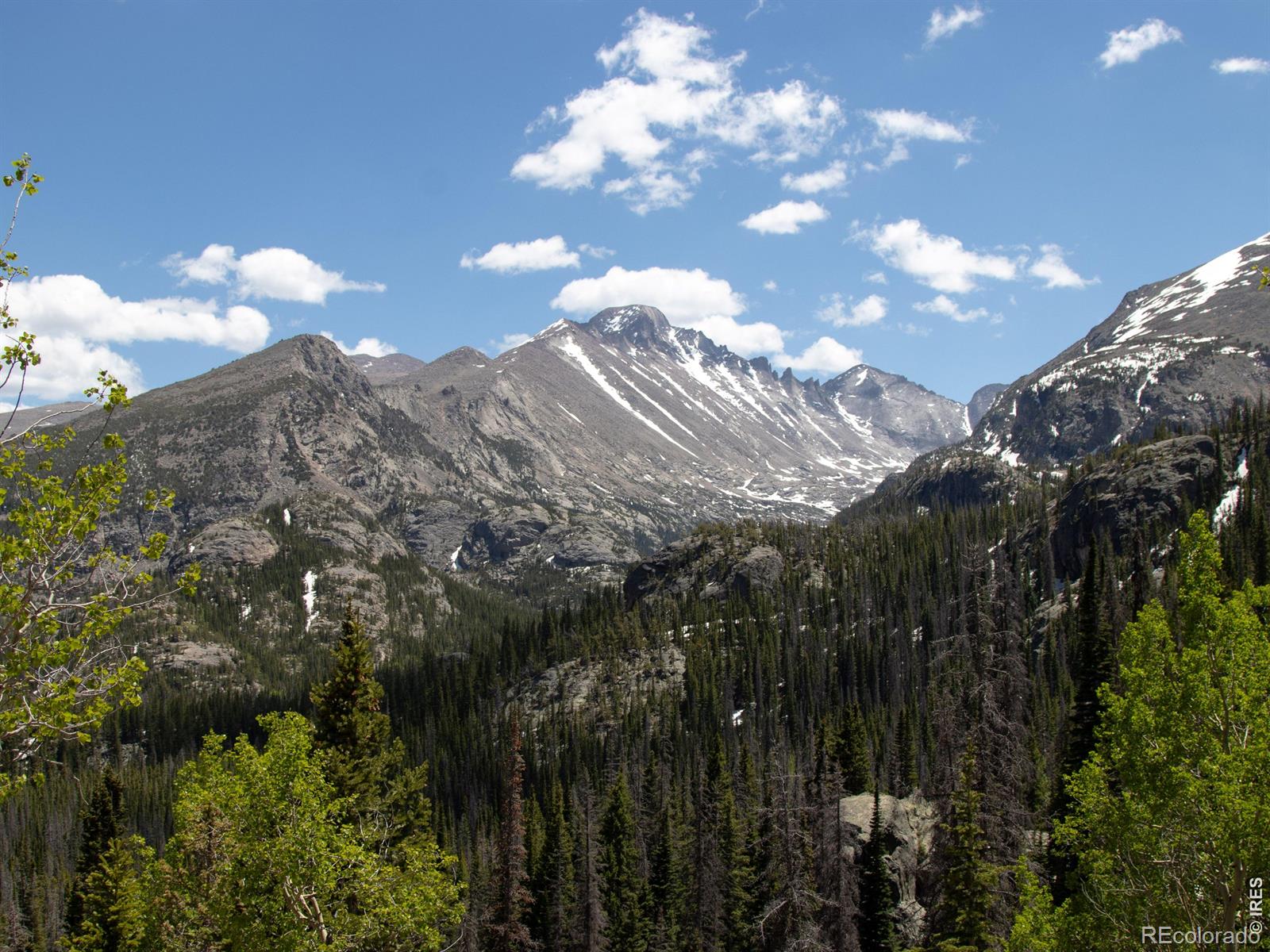 1900 Gray Hawk Ct, Estes Park, CO 80517
