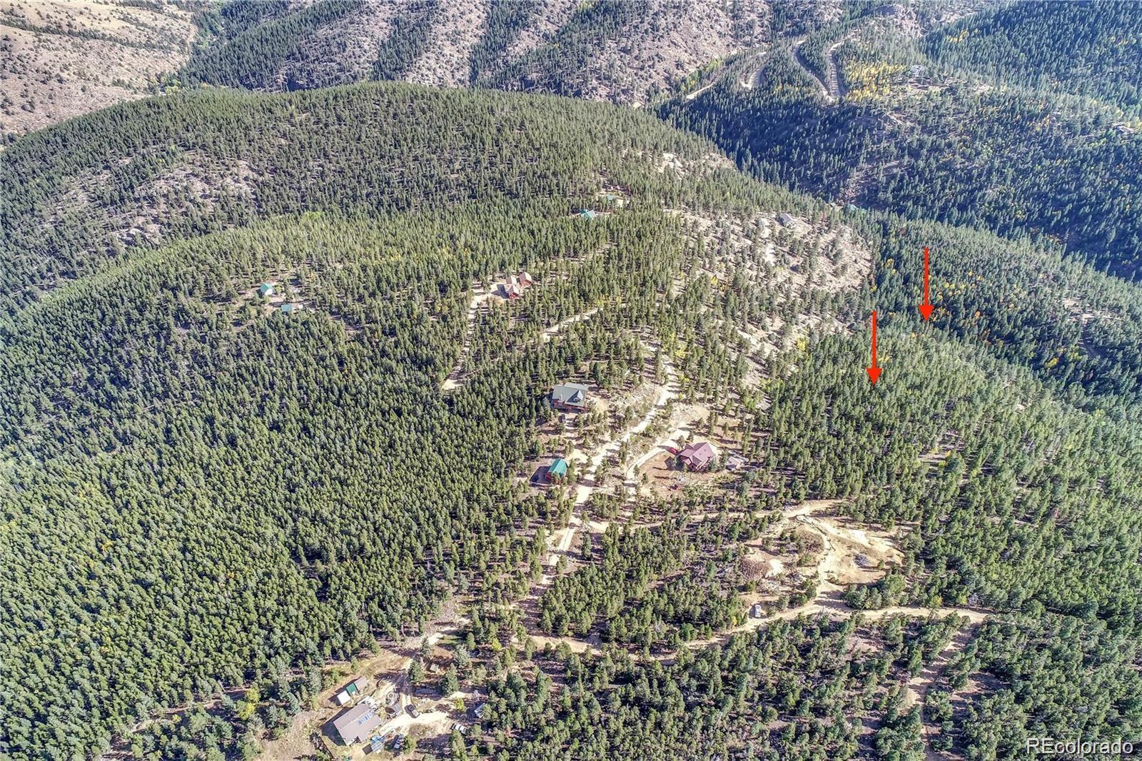 1234 Warren Gulch Rd, Idaho Springs, CO 80452