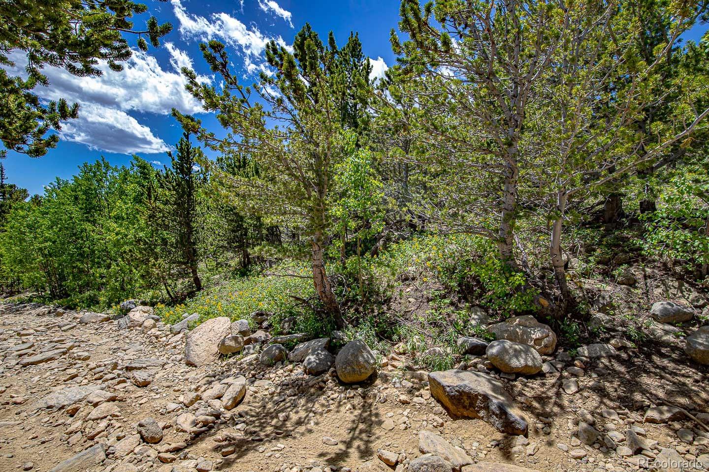 123 Yankee Hill Trl, Black Hawk, CO 80427