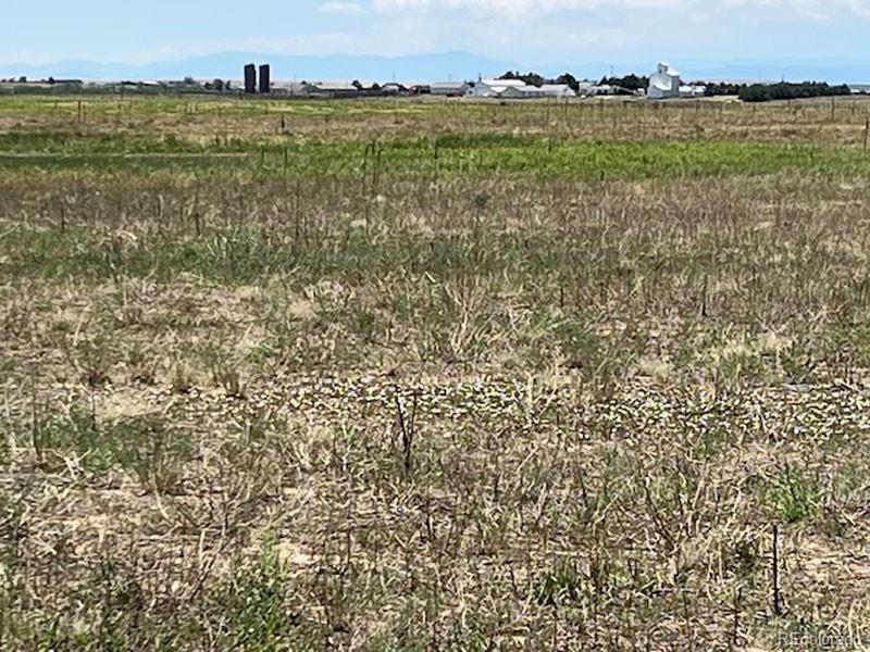 Manila, Watkins, CO 80137