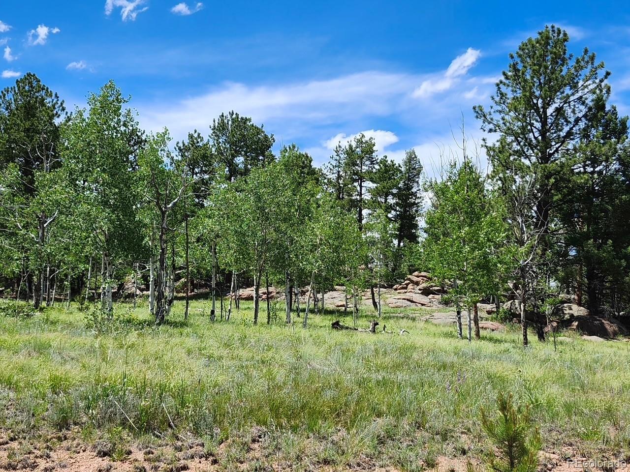 501 Cr 403, Florissant, CO 80816