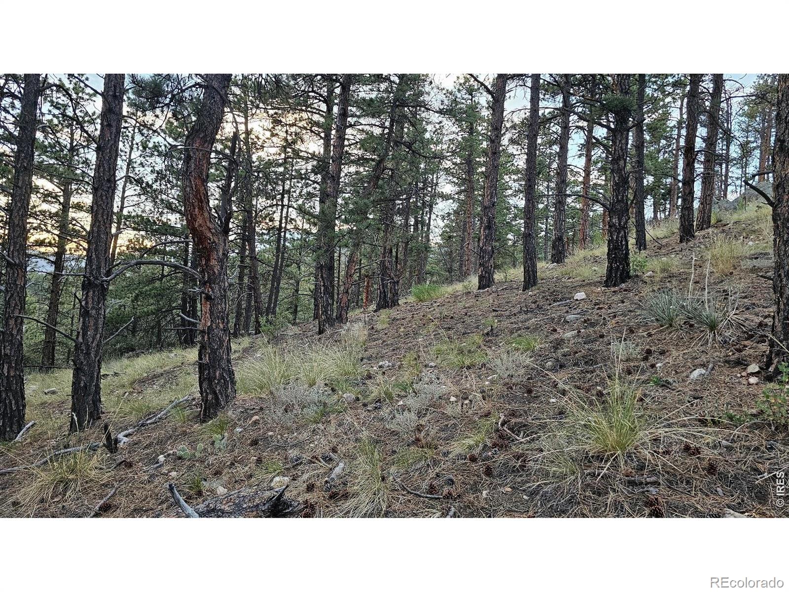 3724 Woodchuck Dr, Loveland, CO 80538