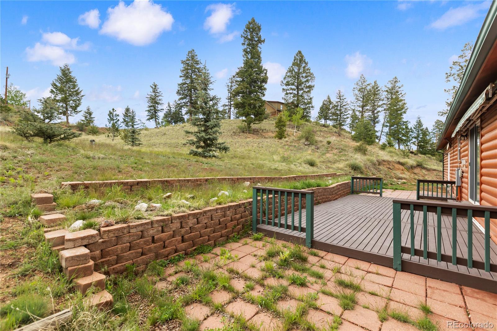 350 Brooks Ln, Woodland Park, CO 80863