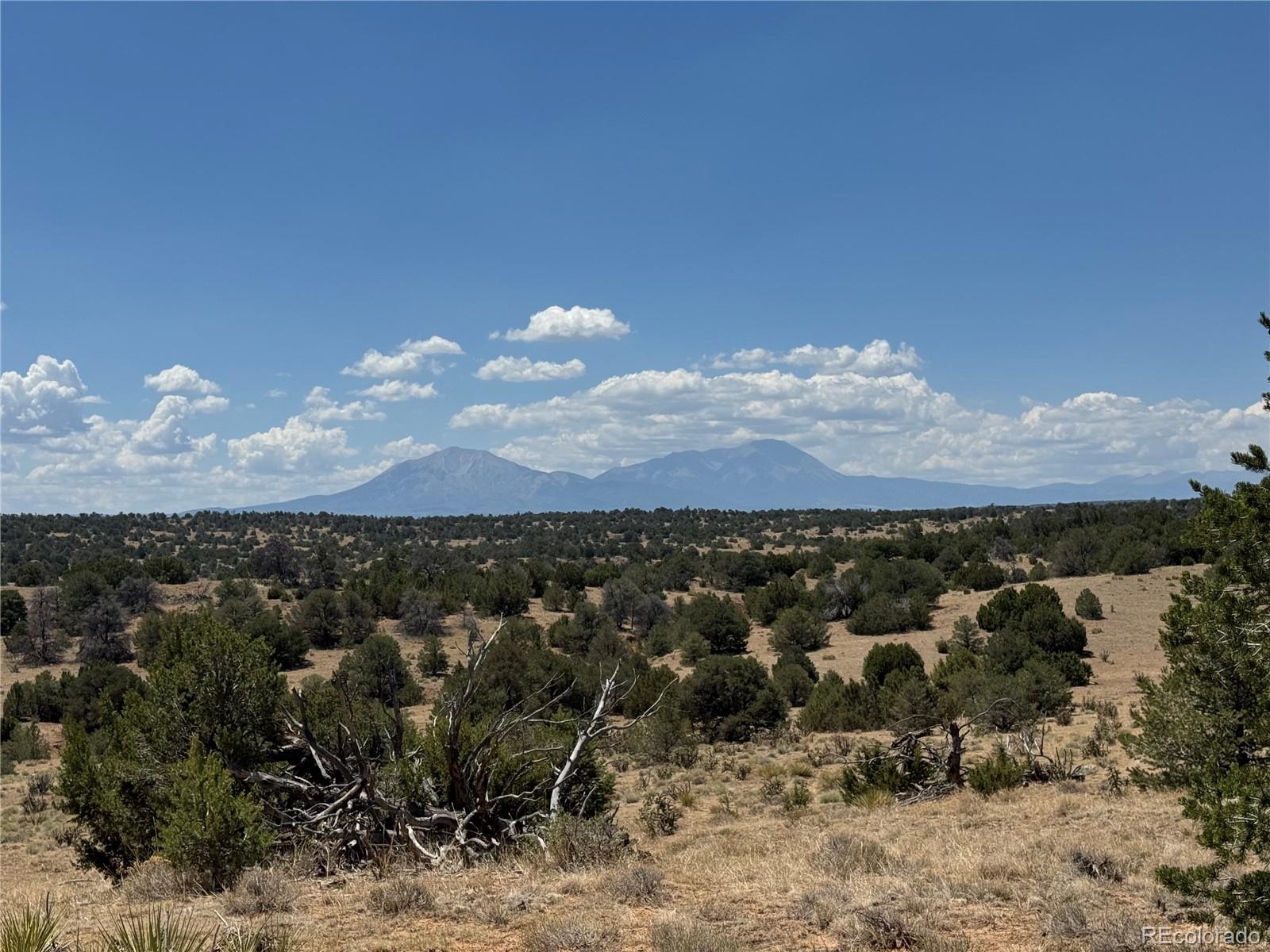 Lot H Twin Lakes Ranches, Walsenburg, CO 81089