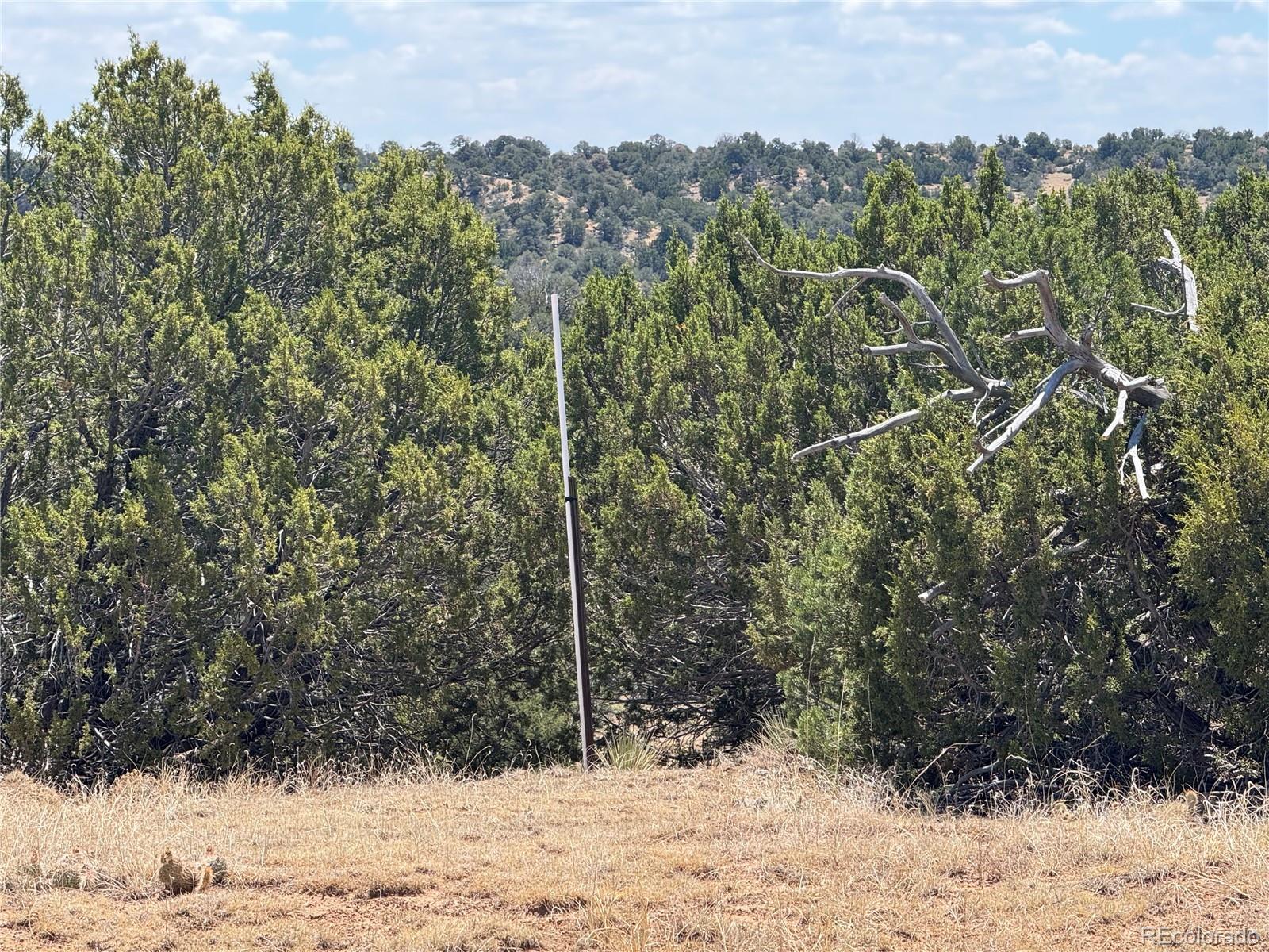 LOT F Twin Lakes Ranches, Walsenburg, CO 81089