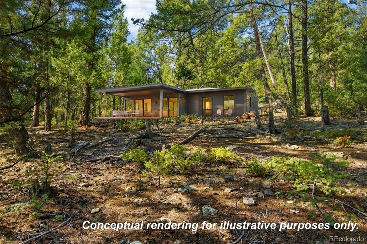 12907 S Cindy Ave, Pine, CO 80470