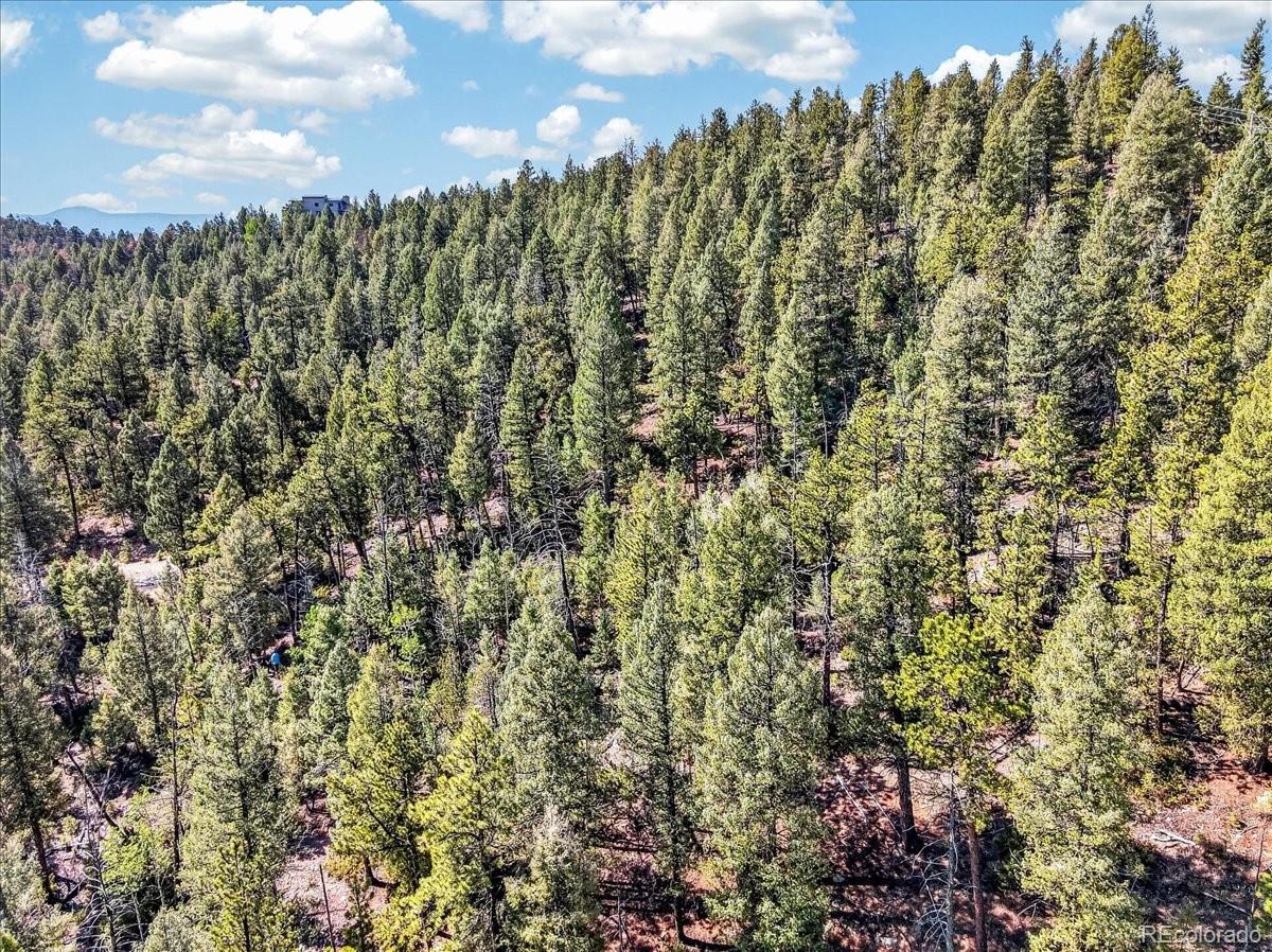 12907 S Cindy Ave, Pine, CO 80470
