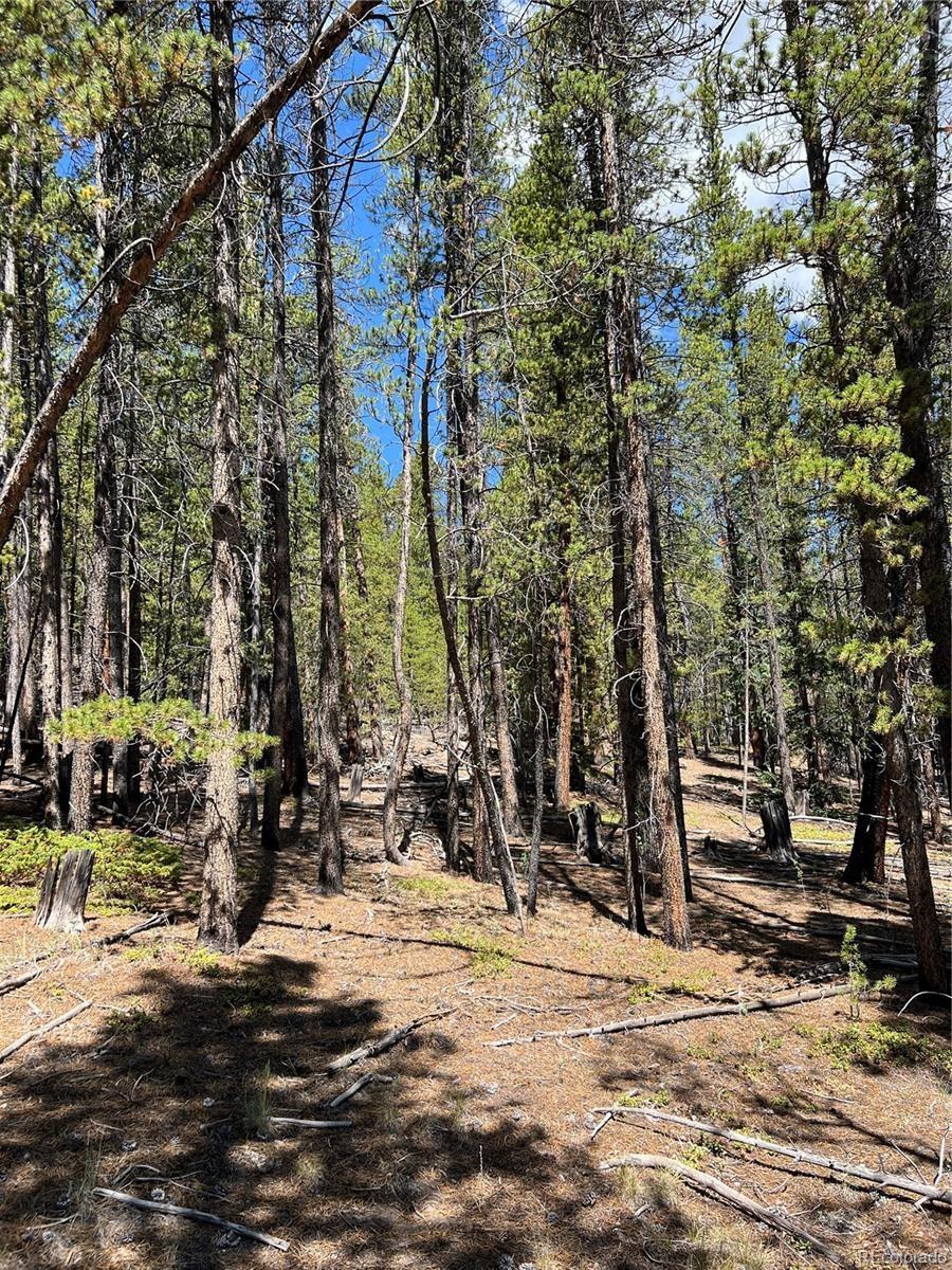 163 Co Rd 665 Lot 22, Fairplay, CO 80440