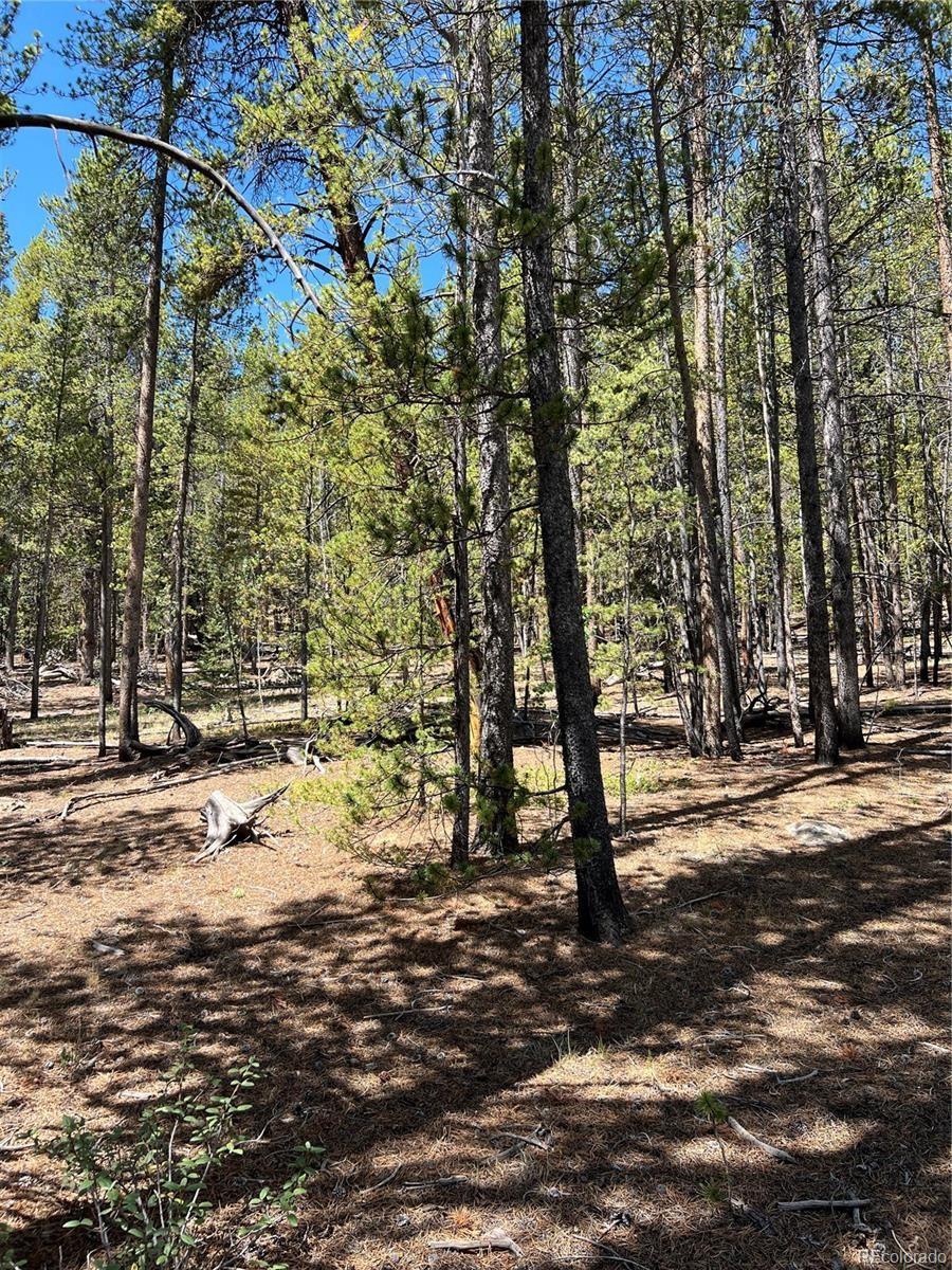 163 Co Rd 665 Lot 22, Fairplay, CO 80440