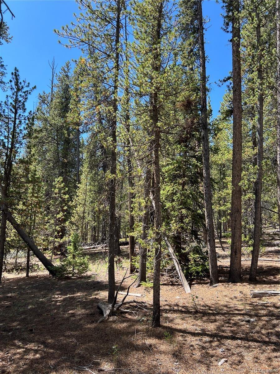 163 Co Rd 665 Lot 22, Fairplay, CO 80440