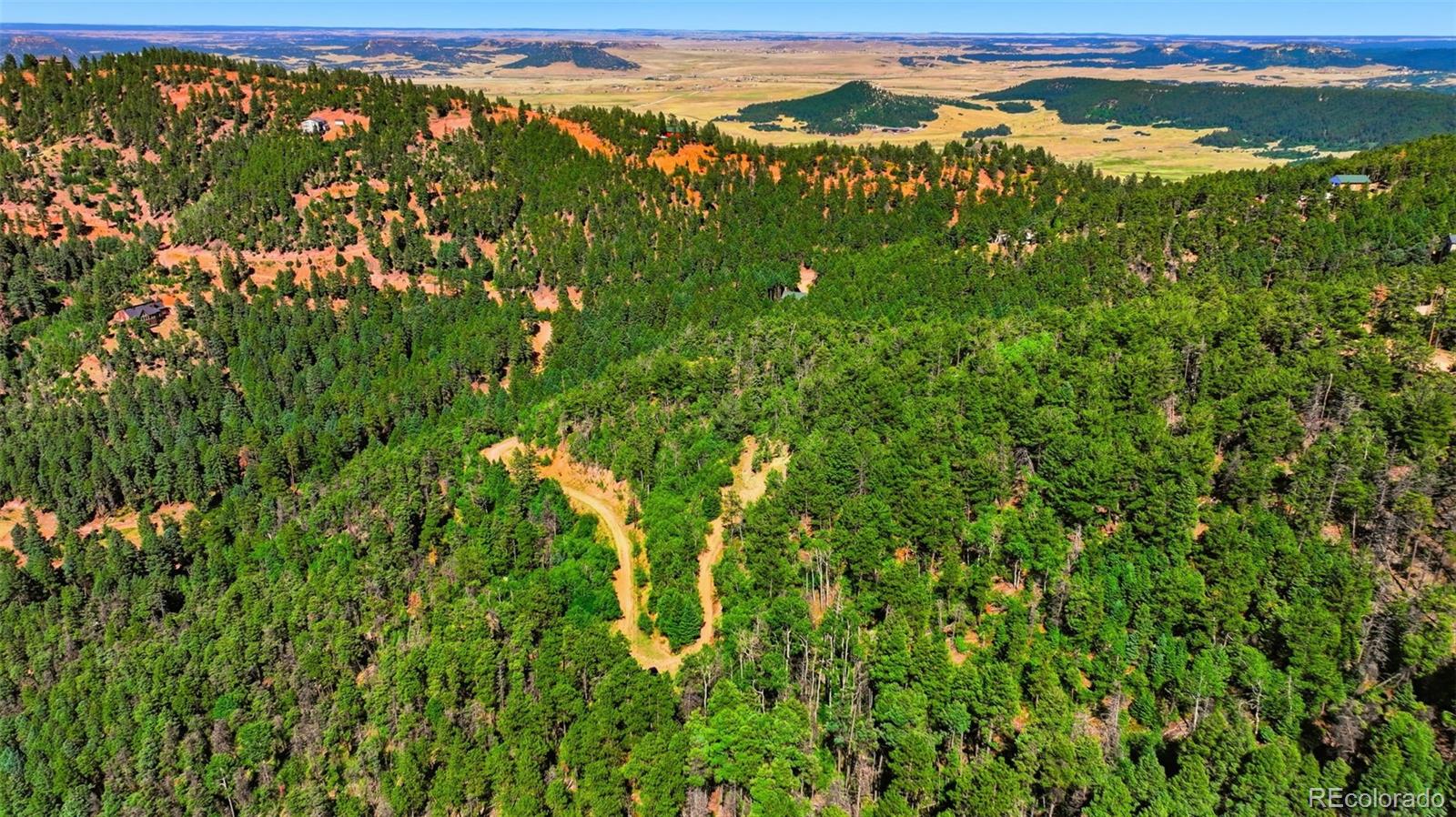 13446 S Firedog Way, Larkspur, CO 80118