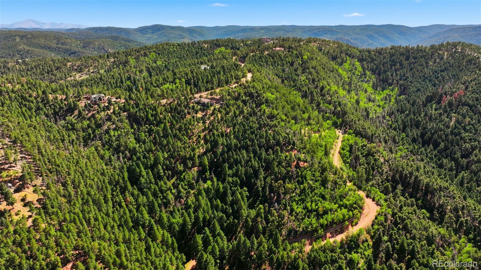 13446 S Firedog Way, Larkspur, CO 80118