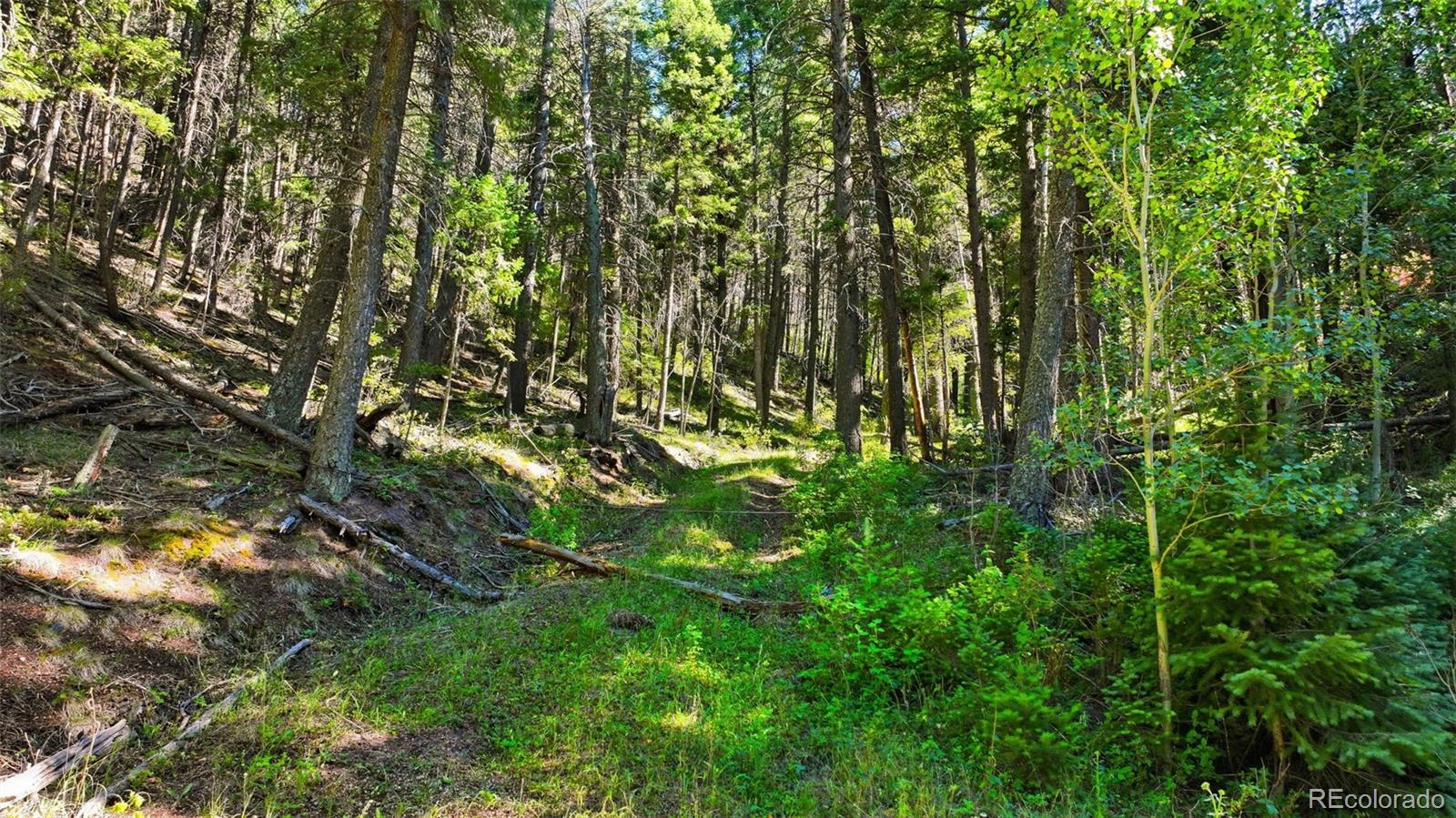 13446 S Firedog Way, Larkspur, CO 80118
