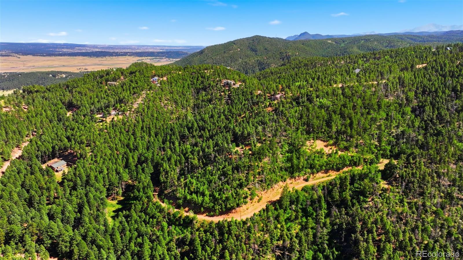 13446 S Firedog Way, Larkspur, CO 80118