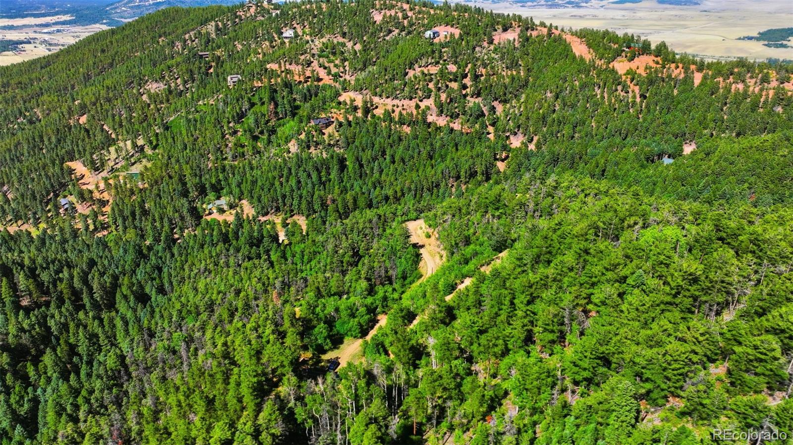 13464 S Firedog Way, Larkspur, CO 80118