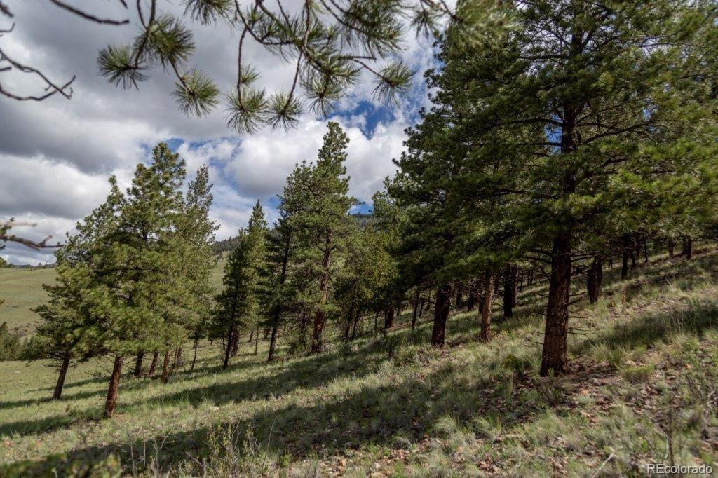 645 Cliff View Dr, Creede, CO 81130