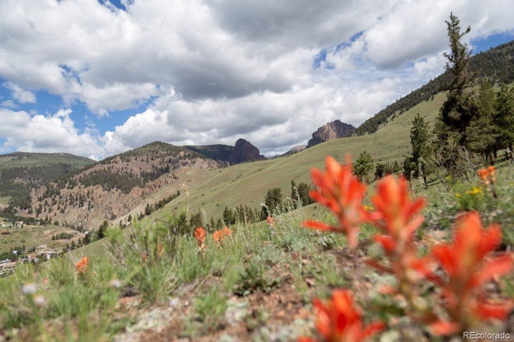 780 Cliff View Dr, Creede, CO 81130