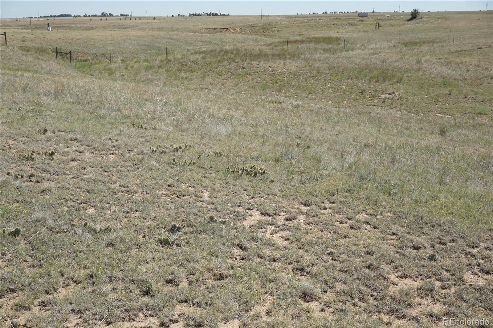 143 N Holtwood Rd, Rush, CO 80833
