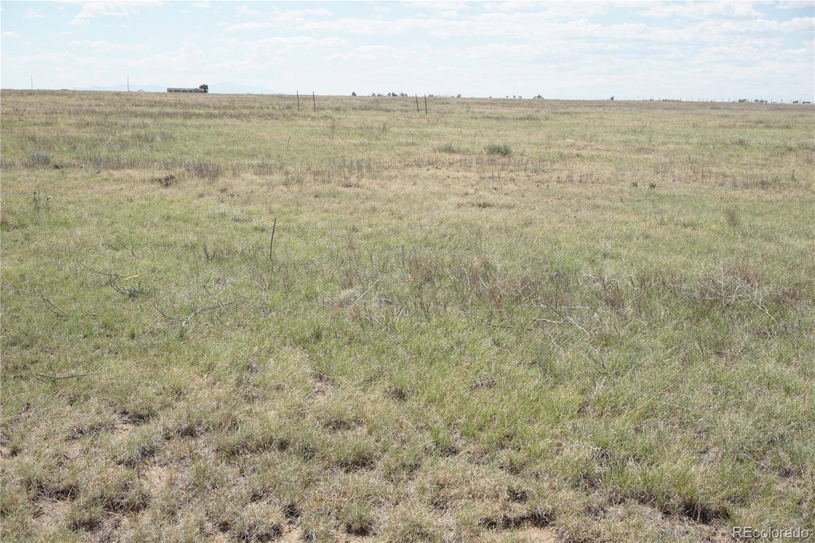 143 N Holtwood Rd, Rush, CO 80833