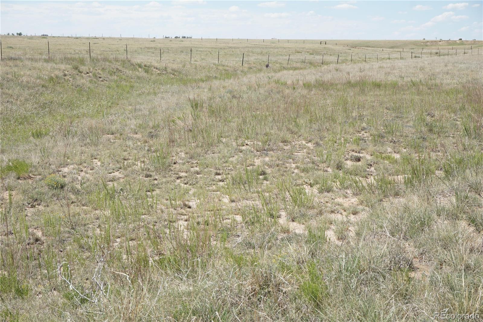 143 N Holtwood Rd, Rush, CO 80833