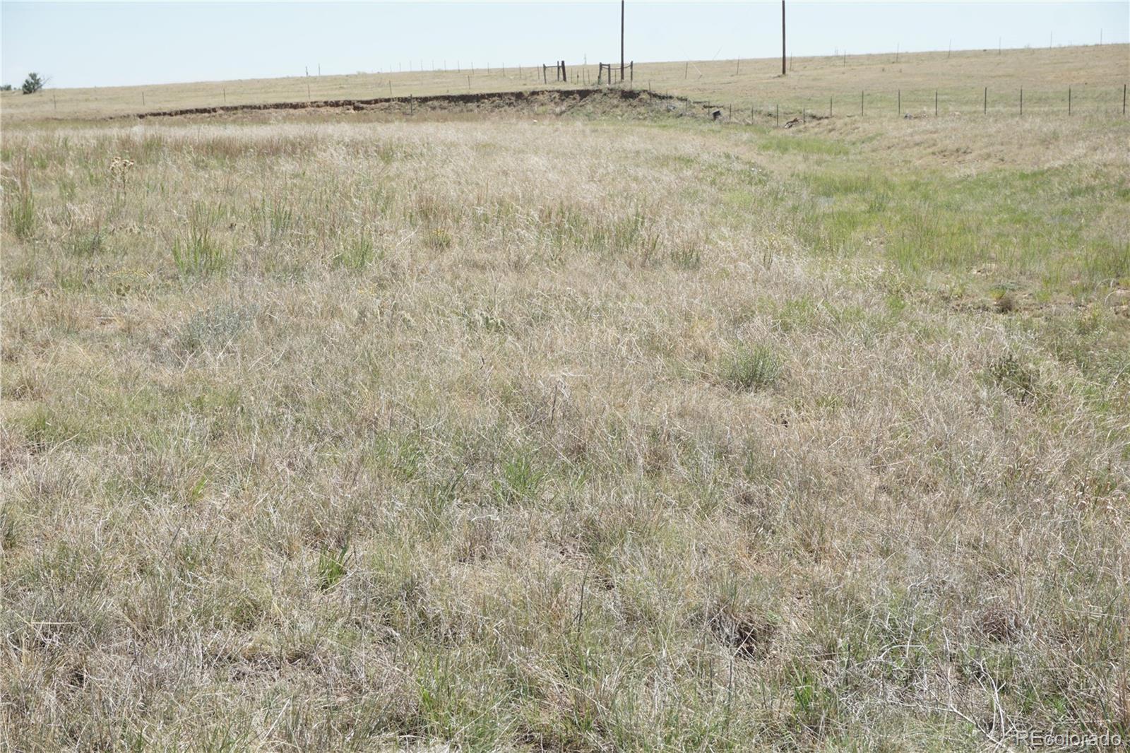143 N Holtwood Rd, Rush, CO 80833
