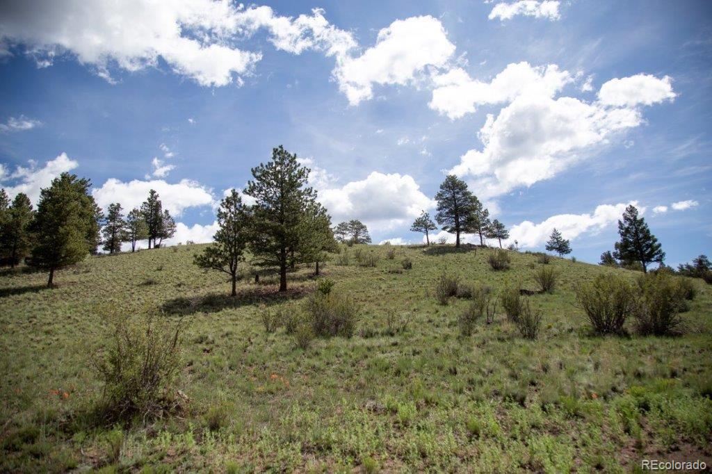 475 Cliff View Dr, Creede, CO 81130