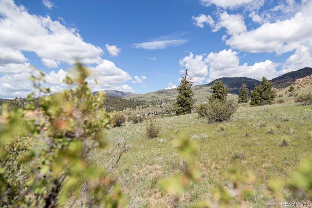 475 Cliff View Dr, Creede, CO 81130