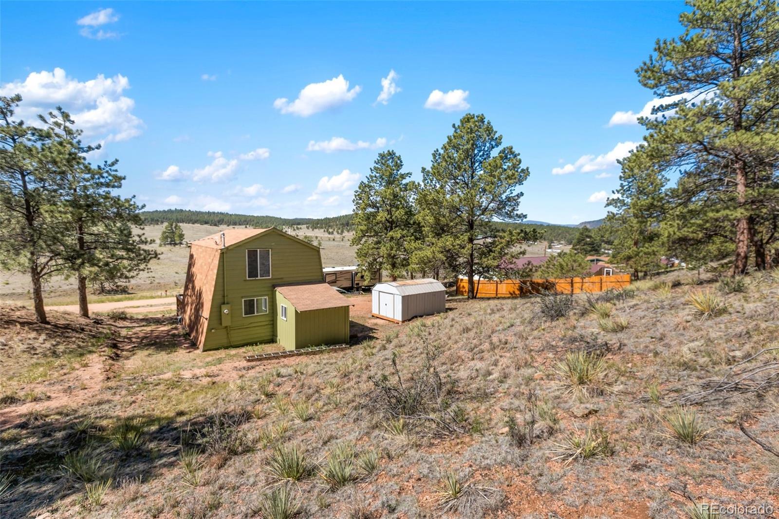 301 Circle Dr, Florissant, CO 80816