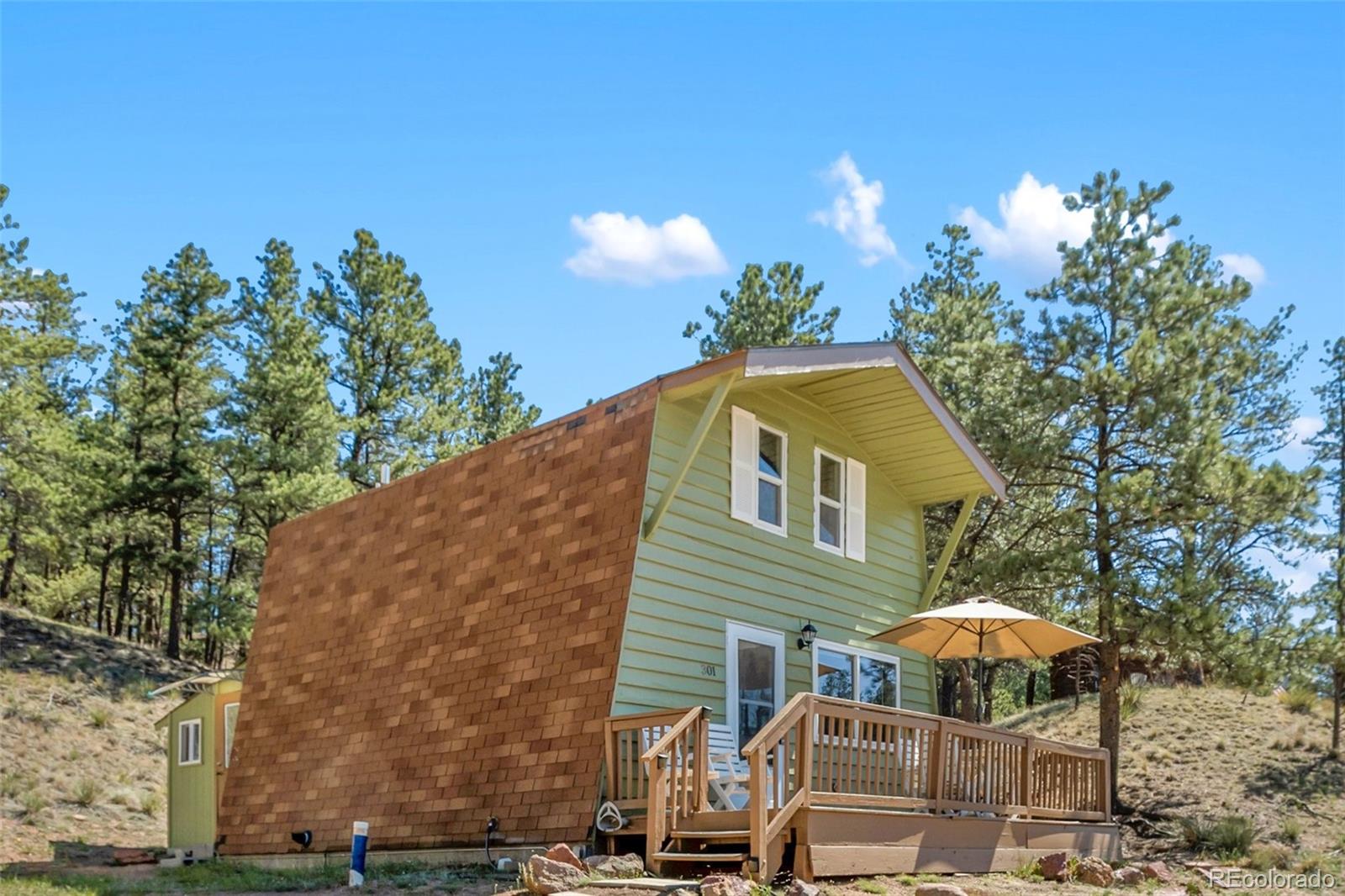301 Circle Dr, Florissant, CO 80816